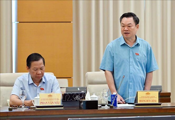 Phó Chủ tịch Thường trực Hội đồng Dân tộc của Quốc hội Hoàng Duy Chinh phát biểu. Ảnh: Phạm Kiên - TTXVN
