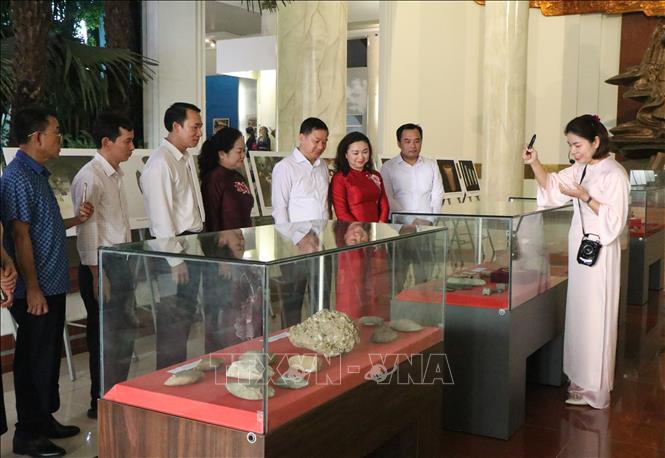 Các đại biểu tham quan trưng bày chuyên đề. Ảnh: Thu Hương - TTXVN