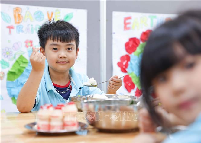 Đối với cấp học mầm non, bữa ăn bán trú lại càng quan trọng bởi học sinh là các trẻ nhỏ, sức đề kháng còn yếu. Vì vậy, chất lượng và an toàn vệ sinh thực phẩm trong mỗi suất ăn bán trú chính là “lá chắn” bảo vệ sức khỏe của trẻ. Ảnh: Thanh Tùng – TTXVN