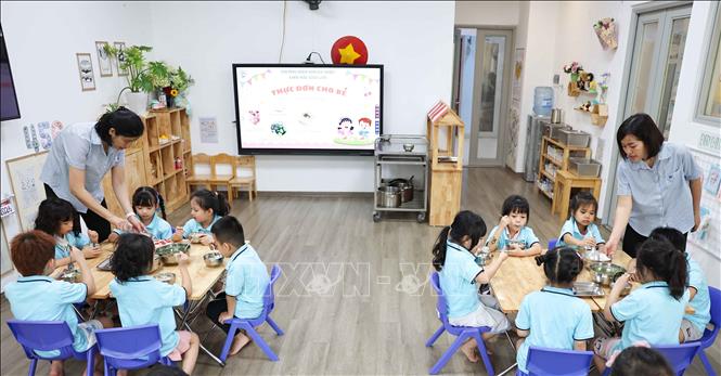 Đối với cấp học mầm non, bữa ăn bán trú lại càng quan trọng bởi học sinh là các trẻ nhỏ, sức đề kháng còn yếu. Vì vậy, chất lượng và an toàn vệ sinh thực phẩm trong mỗi suất ăn bán trú chính là “lá chắn” bảo vệ sức khỏe của trẻ. Ảnh: Thanh Tùng – TTXVN