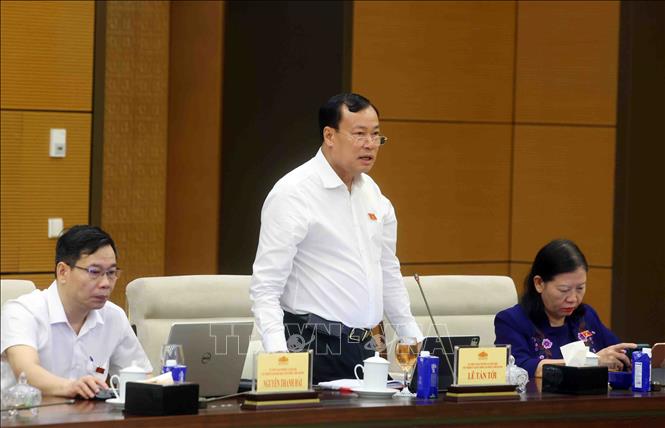 Chủ nhiệm Ủy ban Quốc phòng, An ninh và Đối ngoại của Quốc hội Lê Tấn Tới phát biểu. Ảnh: Phạm Kiên - TTXVN
