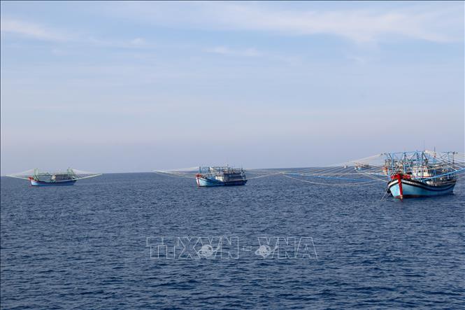 Offshore fishing vessels at Phu Quy special zone. VNA Photo: Nguyễn Thanh