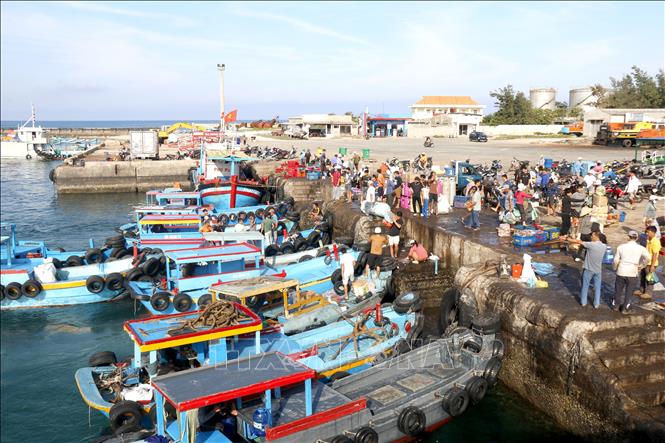 Phu Quy special zone's fishing port. VNA Photo: Nguyễn Thanh