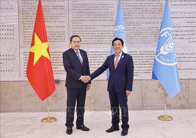 Chủ tịch Quốc hội Trần Thanh Mẫn gặp Tổng Giám đốc Tổ chức Nông nghiệp và Lương thực Liên hợp quốc (FAO) Khuất Đông Ngọc. Ảnh: Doãn Tấn – TTXVN