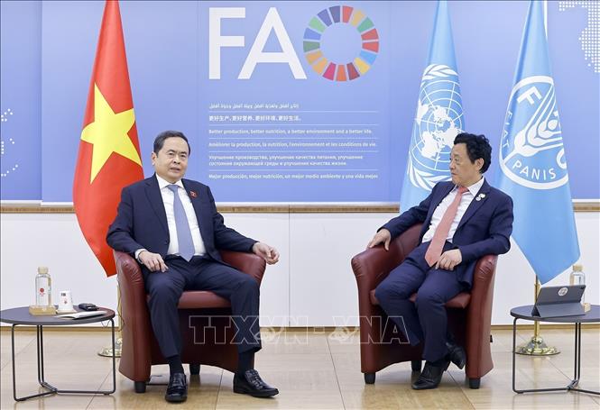 Chủ tịch Quốc hội Trần Thanh Mẫn gặp Tổng Giám đốc Tổ chức Nông nghiệp và Lương thực Liên hợp quốc (FAO) Khuất Đông Ngọc. Ảnh: Doãn Tấn – TTXVN