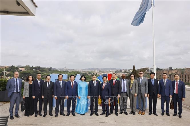 Chủ tịch Quốc hội Trần Thanh Mẫn gặp Tổng Giám đốc Tổ chức Nông nghiệp và Lương thực Liên hợp quốc (FAO) Khuất Đông Ngọc. Ảnh: Doãn Tấn – TTXVN