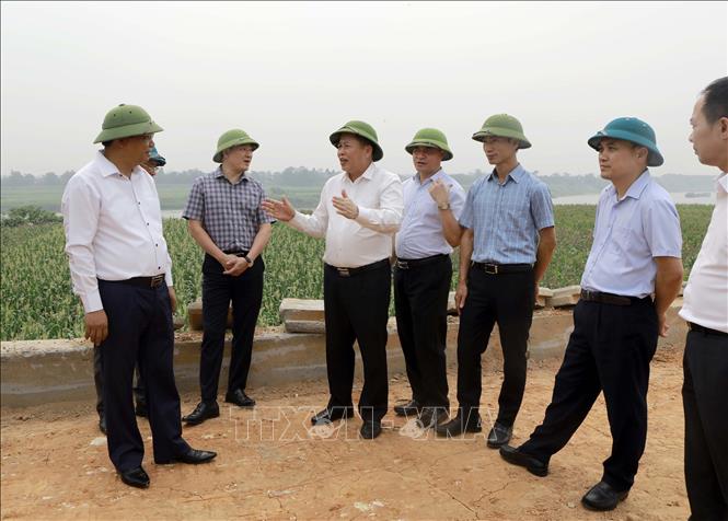 Phó Chủ tịch UBND tỉnh Phú Thọ Đinh Công Sứ (thứ 3 trái sang) kiểm tra Dự án cải tạo, nâng cấp, gia cố, xử lý các vị trí xung yếu trên tuyến đê tả sông Lô và các tuyến đê tả, hữu sông Phó Đáy. Ảnh: Hoàng Hùng - TTXVN
