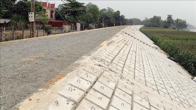  Dự án cải tạo, nâng cấp, gia cố, xử lý các vị trí xung yếu trên tuyến đê tả sông Lô và các tuyến đê tả, hữu sông Phó Đáy đang được đẩy nhanh tiến độ thi công. Ảnh: Hoàng Hùng - TTXVN