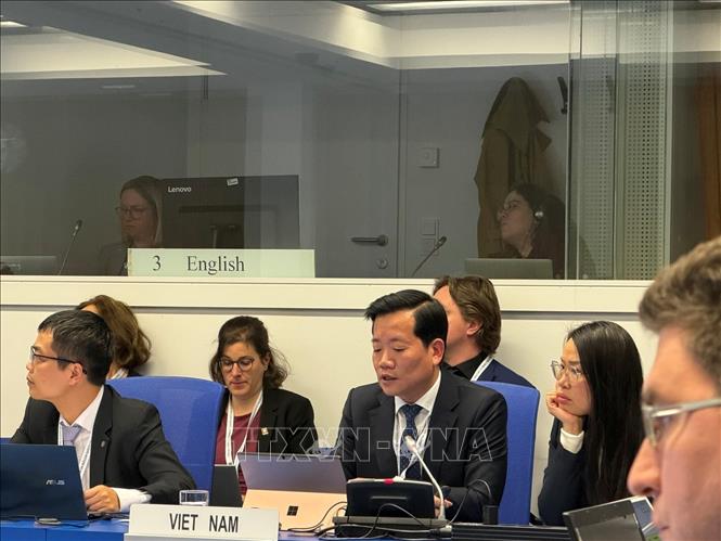 Cục trưởng Nguyễn Hoàng Linh trình bày báo cáo của Việt Nam tại Hội nghị rà soát lần thứ 10 Công ước An toàn hạt nhân. Ảnh: Việt Thắng - TTXVN