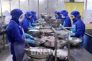 Xuất khẩu nông sản không thể dựa vào lợi thế cũ