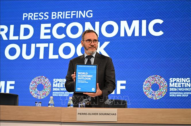 Ông Pierre-Olivier Gourinchas (ảnh), nhà Kinh tế trưởng của IMF, nhận định: 