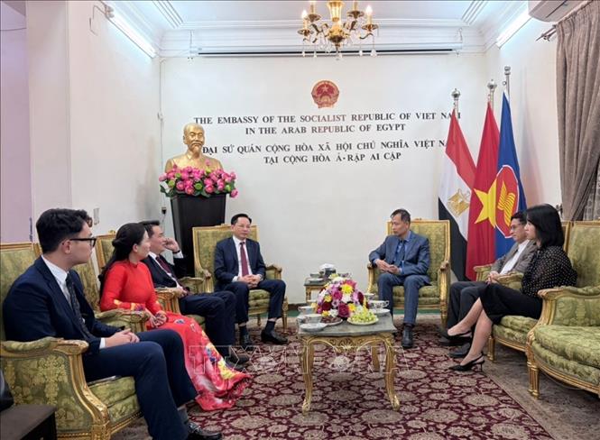 Đoàn công tác của Vinachem làm việc với Đại sứ quán Việt Nam tại Ai Cập. Ảnh: TTXVN phát