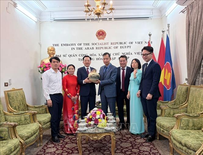 Đoàn công tác của Vinachem làm việc với Đại sứ quán Việt Nam tại Ai Cập. Ảnh: TTXVN phát