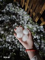 Lào Cai: Mưa đá to như quả trứng gà trút xuống Bắc Hà