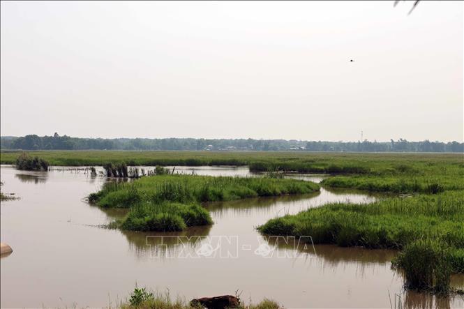 Vẻ đẹp bình yên của vùng đất ngập nước Sông Đầm. Ảnh: Đỗ Trưởng – TTXVN