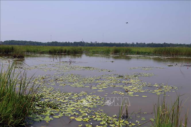Sông Đầm có mức độ đa dạng sinh học cao, đang hướng đến hình thành Khu Bảo tồn đa dạng sinh học đất ngập nước gắn với phát triển du lịch sinh thái. Ảnh: Đỗ Trưởng – TTXVN