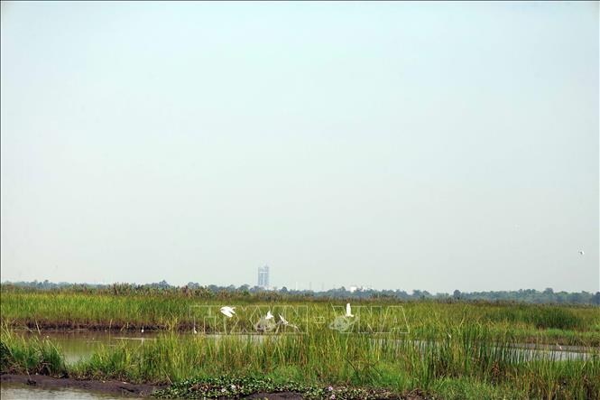 Sông Đầm có mức độ đa dạng sinh học cao, đang hướng đến hình thành Khu Bảo tồn đa dạng sinh học đất ngập nước gắn với phát triển du lịch sinh thái. Ảnh: Đỗ Trưởng – TTXVN