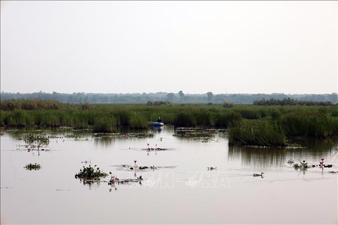 Sông Đầm có mức độ đa dạng sinh học cao, đang hướng đến hình thành Khu Bảo tồn đa dạng sinh học đất ngập nước gắn với phát triển du lịch sinh thái. Ảnh: Đỗ Trưởng – TTXVN