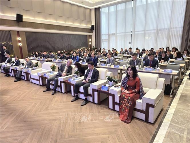 Quang cảnh Hội nghị xúc tiến tại Thượng Hải, Trung Quốc. Ảnh: TTXVN phát