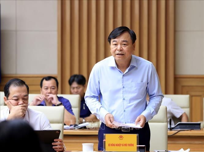 Đại diện Bộ Nông nghiệp và Mội trường phát biểu. Ảnh: Tuấn Anh - TTXVN