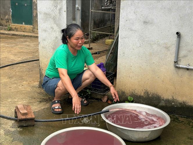 Nước sinh hoạt của hộ gia đình bà Dương Thị Dung ở thôn Quảng Trung, xã Thạch Quảng (Thanh Hóa), gần đây đổi màu bất thường kèm theo mùi hôi không thể sử dụng. Ảnh: Việt Hoàng - TTXVN