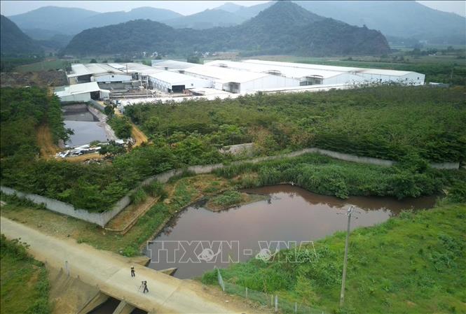Nước khe suối khu vực phía sau Công ty trách nhiệm hữu hạn BOB Hà Nội và phía trước Công ty Bình Sơn (đóng trên địa bàn xã Thạch Quảng) cùng với nước giếng khoan của một số hộ dân thôn Quảng Trung có dấu hiệu chuyển màu nâu đỏ. Ảnh: Việt Hoàng - TTXVN