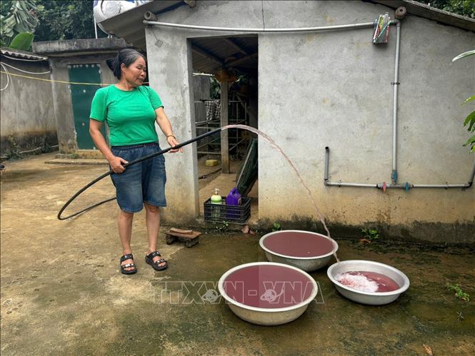 Nước sinh hoạt của gia đình bà Dương Thị Dung ở thôn Quảng Trung, xã Thạch Quảng (Thanh Hóa), gần đây đổi màu bất thường kèm theo mùi hôi không thể sử dụng. Ảnh: Việt Hoàng - TTXVN