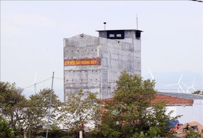 Nhiều hộ dân ở xã Thuận Nam đầu tư xây dựng nhà nuôi chim yến. Ảnh: Công Thử - TTXVN