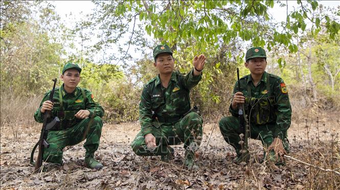 Cán bộ, chiến sĩ Đồn Biên phòng Tân Phú, (xã Tân Biên, tỉnh Tây Ninh) tuần tra, kiểm soát trên các đường mòn, lối mở, chủ động phòng ngừa, phát hiện và xử lý các hành vi vi phạm pháp luật. Ảnh: Minh Phú - TTXVN