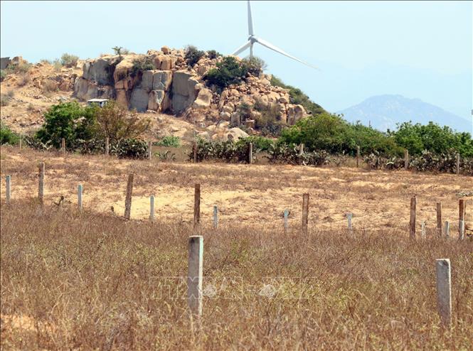 Tình trạng đóng cọc phân lô bán đất của người dân ở xã Phước Dinh cần được siết chặt quản lý. Ảnh: Công Thử - TTXVN