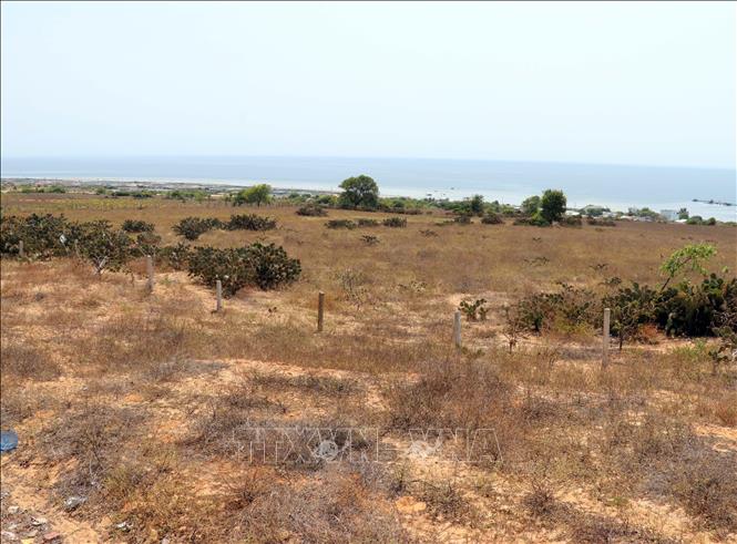 Tình trạng đóng cọc phân lô bán đất của người dân ở xã Phước Dinh cần được siết chặt quản lý. Ảnh: Công Thử - TTXVN