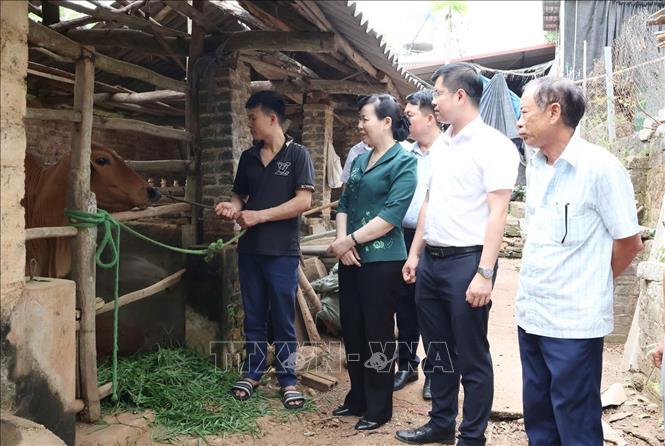 Các đại biểu đến thăm và trao kinh phí hỗ trợ tiền mua vật tư, con giống cho hộ gia đình bà Mã Thị Hoan, thôn La Thành. Ảnh: Thanh Thương - TTXVN