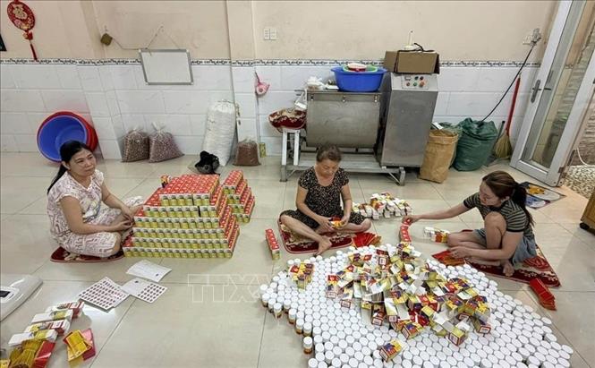 TP. Hồ Chí Minh triệt phá đường dây sản xuất thuốc giả, bắt tạm giam 3 đối tượng. Ảnh: TTXVN phát