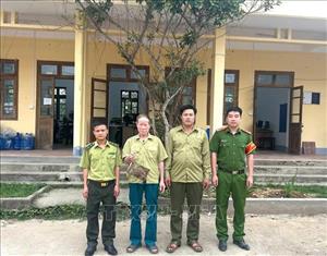 Hạt Kiểm lâm khu vực Bình Gia vừa tiếp nhận cá thể cu ly quý hiếm