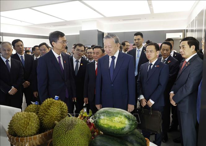 Tổng Bí thư, Chủ tịch nước Tô Lâm và các đại biểu tại Trung tâm hợp tác ứng dụng AI Trung Quốc - ASEAN. Ảnh: Thống Nhất - TTXVN
