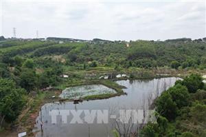 Hồ Đarana “đắp chiếu” vì 3 hộ dân, hàng trăm hộ thiếu nước