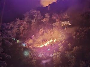 Kịp thời khống chế vụ cháy rừng phòng hộ ở Tân Uyên, Lai Châu