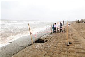 Khẩn cấp khắc phục điểm sạt, sụt tuyến đê, kè biển Ninh Bình