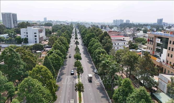 Một tuyến đường với nhiều cây xanh tại phường Trấn Biên (Đồng Nai). Ảnh: Công Phong - TTXVN