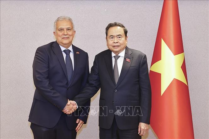 Chủ tịch Quốc hội Trần Thanh Mẫn tiếp Lãnh sự danh dự Việt Nam tại Istanbul Ali Tezolmez. Ảnh: Doãn Tấn – TTXVN