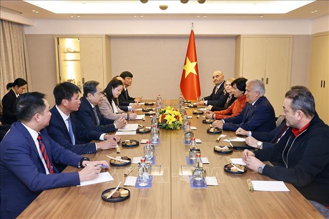 Chủ tịch Quốc hội Trần Thanh Mẫn tiếp Lãnh sự danh dự Việt Nam tại Istanbul Ali Tezolmez. Ảnh: Doãn Tấn – TTXVN