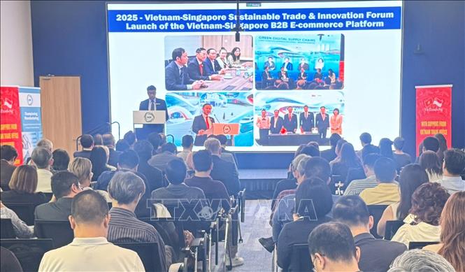 Chương trình “Kết nối doanh nghiệp bền vững và đầu tư xã hội năm 2026” giữa Việt Nam và Singapore. Ảnh: Ngọc Khương/TTXVN tại Singapore