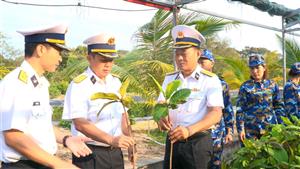 Vùng 4 Hải quân ươm, chiết, nhân giống 30.000 cây trồng thực hiện ‘Xanh hóa Trường Sa’