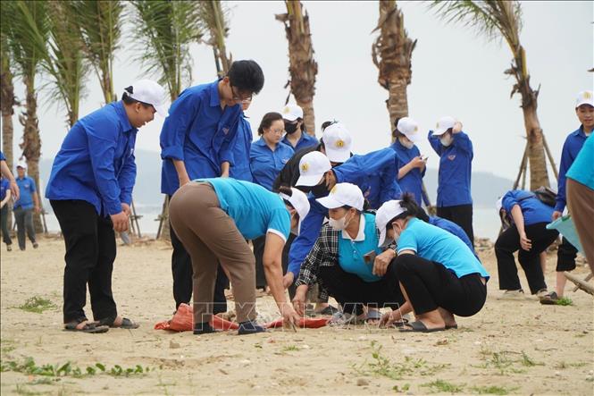 Các đoàn viên, thanh niên  ra quân thu gom rác thải, làm sạch bãi biển Cửa Lò. Ảnh: Trịnh Duy Hưng-TTXVN
