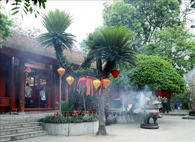 Cây vạn tuế là một trong những cổ thụ lâu đời nhất tại Đền Hùng. Ảnh: Tạ Toàn – TTXVN