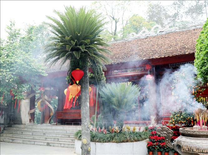 Do ảnh hưởng của thời gian và điều kiện tự nhiên, thân cây có dấu hiệu nghiêng lệch, vì vậy từ năm 2009, Ban quản lý khu di tích đã tiến hành gia cố bằng hệ thống cột chống để đảm bảo an toàn và duy trì sự ổn định lâu dài cho cây, Ảnh: Tạ Toàn – TTXVN