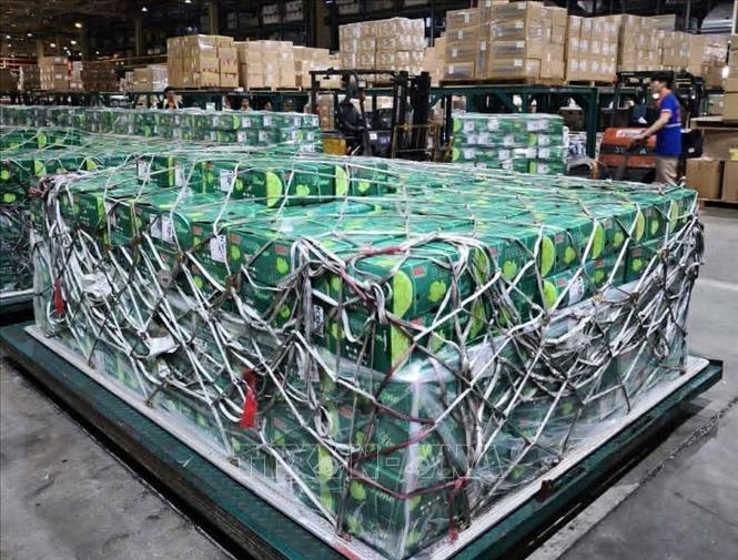 Các lô hàng được đưa về kho chờ vận chuyển đến hệ thống siêu thị của Tập đoàn Lulu. Ảnh: TTXVN phát