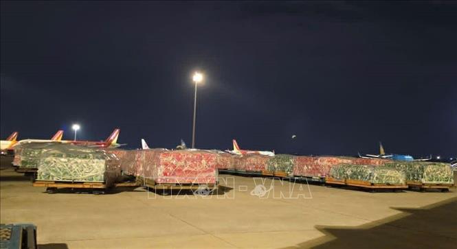Các lô hàng được bốc dỡ xuống sân bay. Ảnh: TTXVN phát