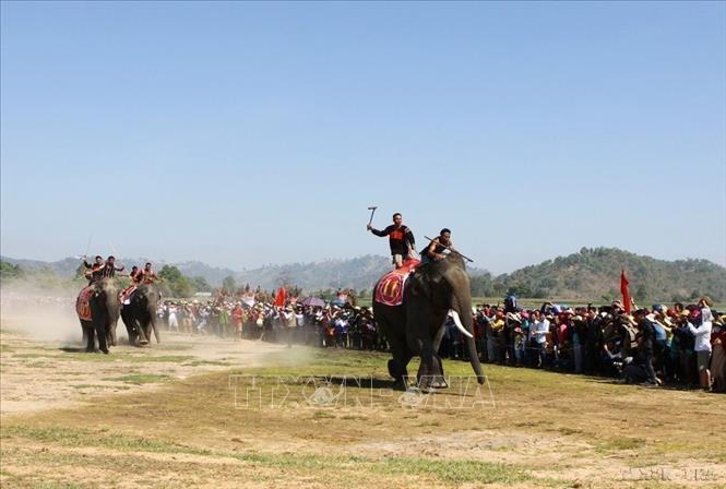 Phần thi Voi chạy đua tại lễ hội Voi Tây Nguyên - xã Krông Na, huyện Buôn Đôn. Lễ hội là nhu cầu tâm linh, nhu cầu tinh thần không thể thiếu được của đồng bào các dân tộc Tây Nguyên, là sản phẩm văn hóa du lịch đặc sắc thu hút khách du lịch. Ảnh: Trọng Đạt - TTXVN