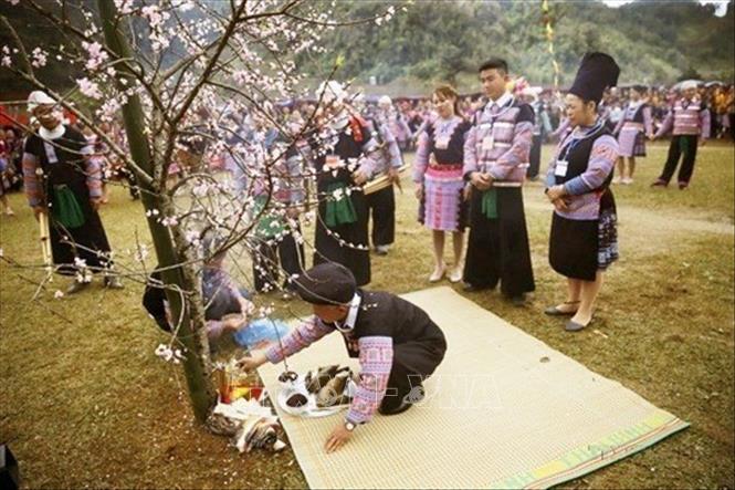 Thầy cúng thực hiện các nghi lễ trước khi bắt đầu Lễ hội Gầu Tào của đồng bào dân tộc Mông ở Hòa Bình. Ảnh: Trọng Đạt - TTXVN